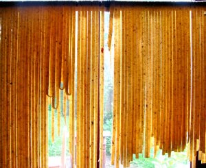 színes borsos-zsályavirágos szárítása